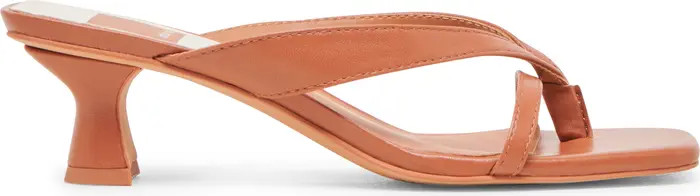 Brevel Kitten Heel Flip Flop (Women) | Nordstrom