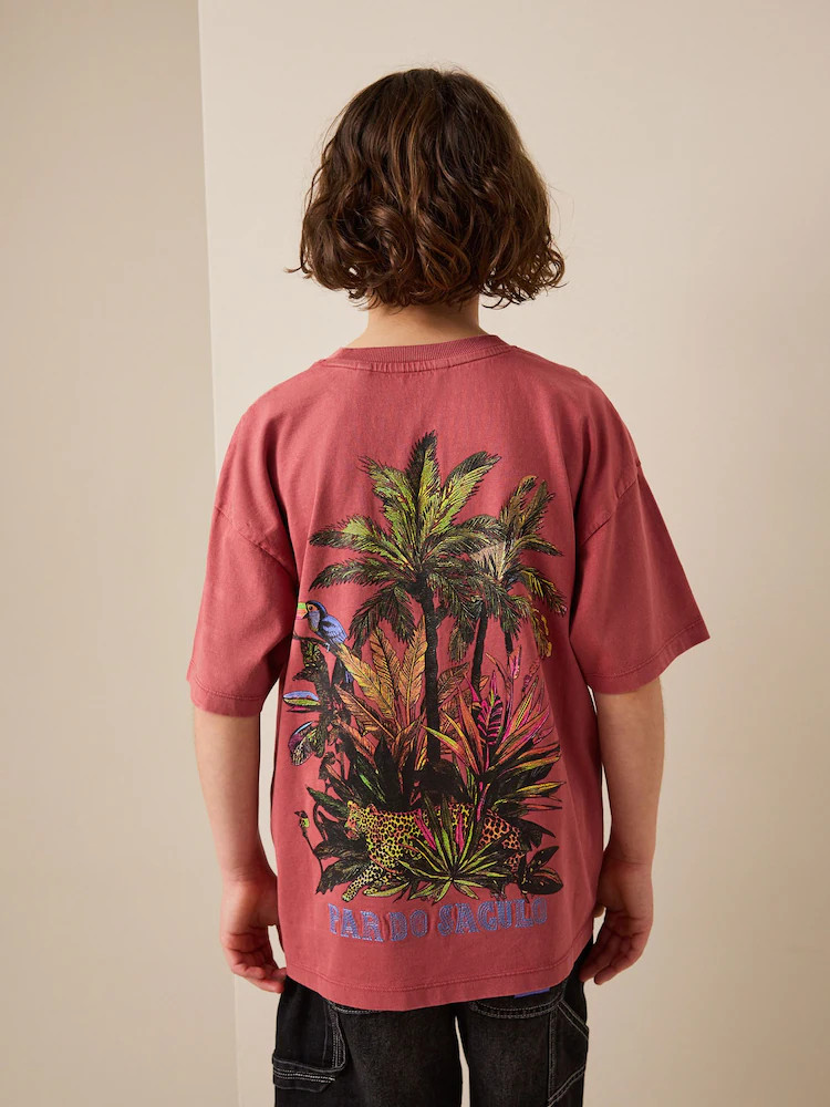 Berry Red Washed Graphic T-Shirt (3-16yrs) | Next US