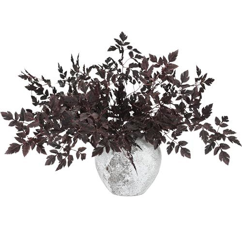 Sggvecsy 6 Pack 31.5’’ Artificial Cimicifuga Leaf Fall Leaves Spray Faux Plum Plant Ramosa Stems Branches for Vase Home Kitchen Thanksgiving Harvest Table Centerpieces Festival Farmhouse Decor | Amazon (US)