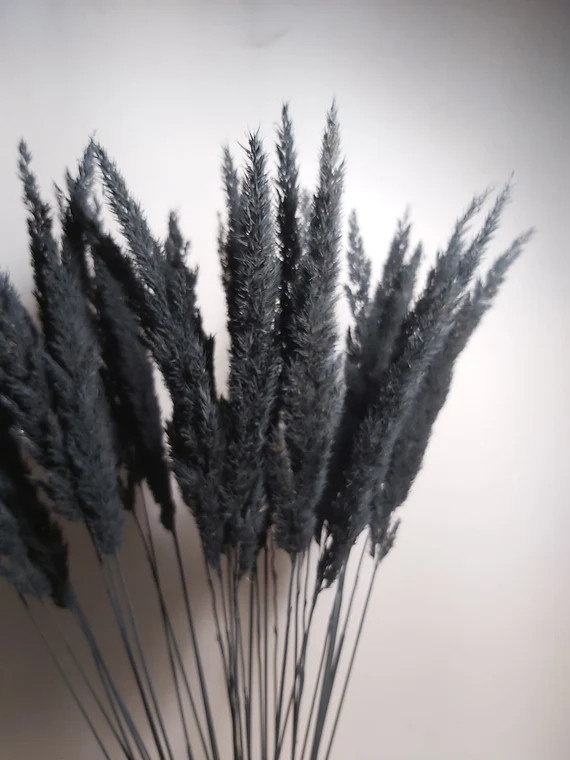 Black Grass Decor Wild Black Grass Dried Pampas Grass Black | Etsy | Etsy (US)