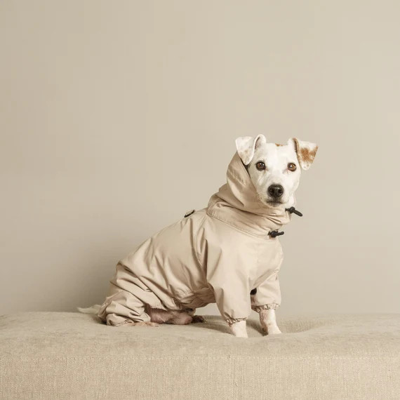 Dog Jumpsuit  Beige Dog Overall  Dog Winter / Spring and | Etsy Australia | Etsy (AU)