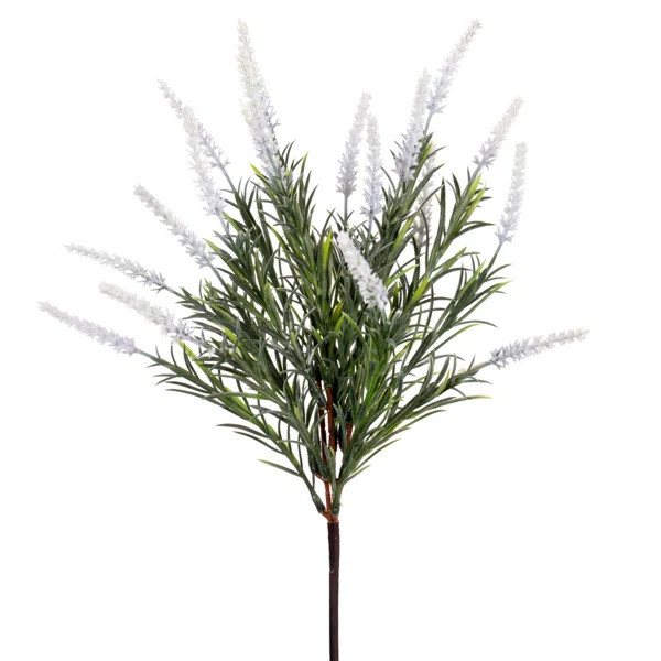 Rosemary Arrangement | Wayfair North America