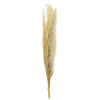 Natural Brown Pampas Bunch by Ashland® | Michaels | Michaels Stores