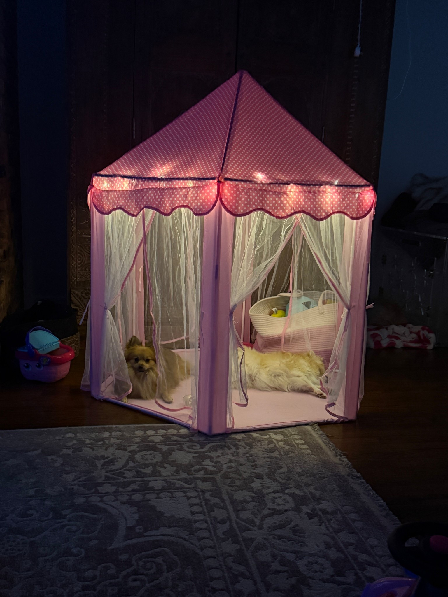 For the whole family 😄 

#LTKBaby #LTKPets #LTKHome