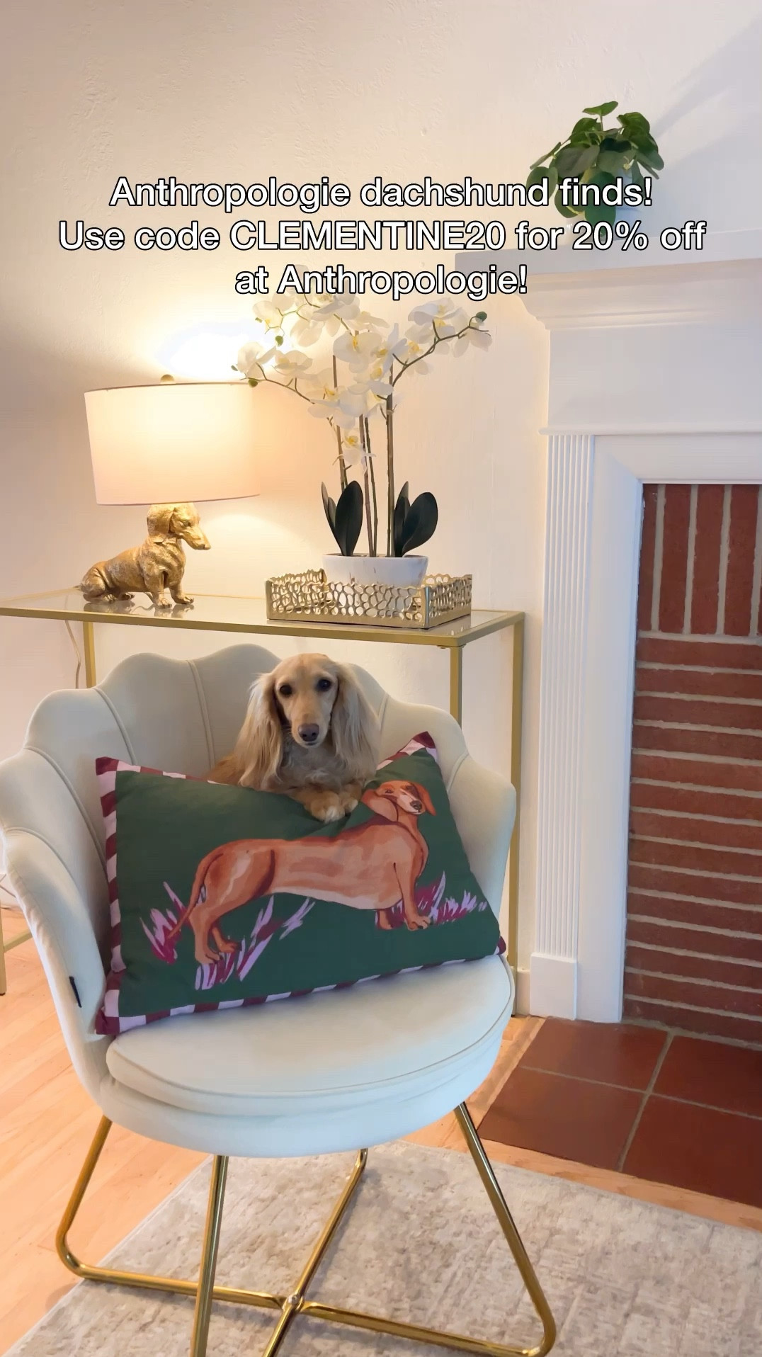 Anthropologie dachshund finds! Use code CLEMENTINE20 for 20% off your entire purchase at Anthropologie over $100! Ends Sunday 5/10.

.

.

.

.

( Anthropologie dachshund decor, dachshund mom, dachshund gifts, Anthropologie sale, anthro home, dachshund fashion, Anthropologie dachshund products, Anthropologie wiener dog finds, anthro sausage dog finds, Anthropologie discount code, home decor, dog mom, dog decor, Anthropologie promo code, Anthropologie dachshund items, #dachshund #anthro #anthropologie #dachshundfinds )

#LTKHome #LTKvlog #LTKSaleAlert