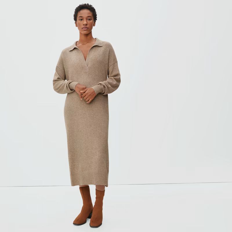 The Cashmere Polo Dress | Everlane