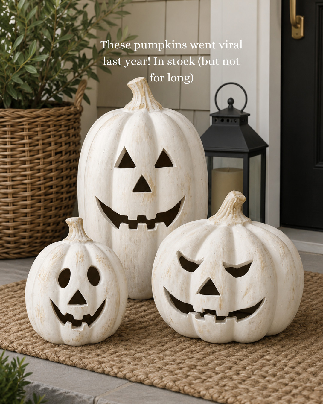 These pumpkins went viral last year! In stock (but not for long) 

 #LTKSeasonal #LTKHome #LTKSaleAlert