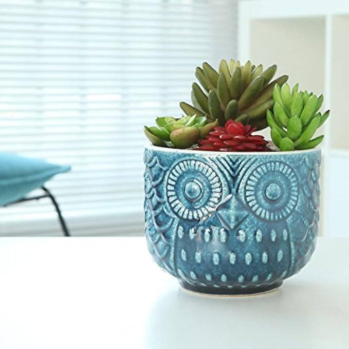 Whimsical Textured Owl Shaped Succulent Ceramic Planter Pot w/ Blue Glossy Finish | Amazon (US)