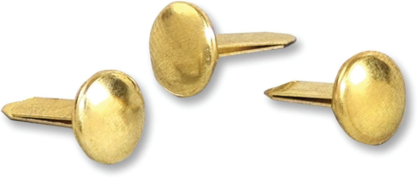 ACCO Brass Paper Fasteners, 1/2", Plated, 1 Box, 100 Fasteners/Box (71709) | Amazon (US)