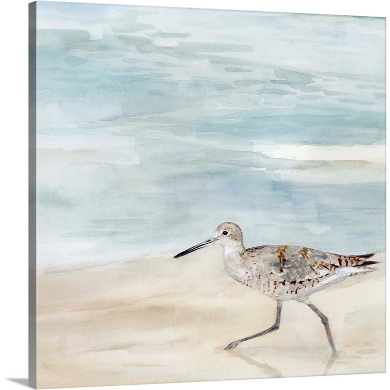 Speckled Willet II | Canvas Wall Art, Coastal Home Decor | 16x16 - Walmart.com | Walmart (US)