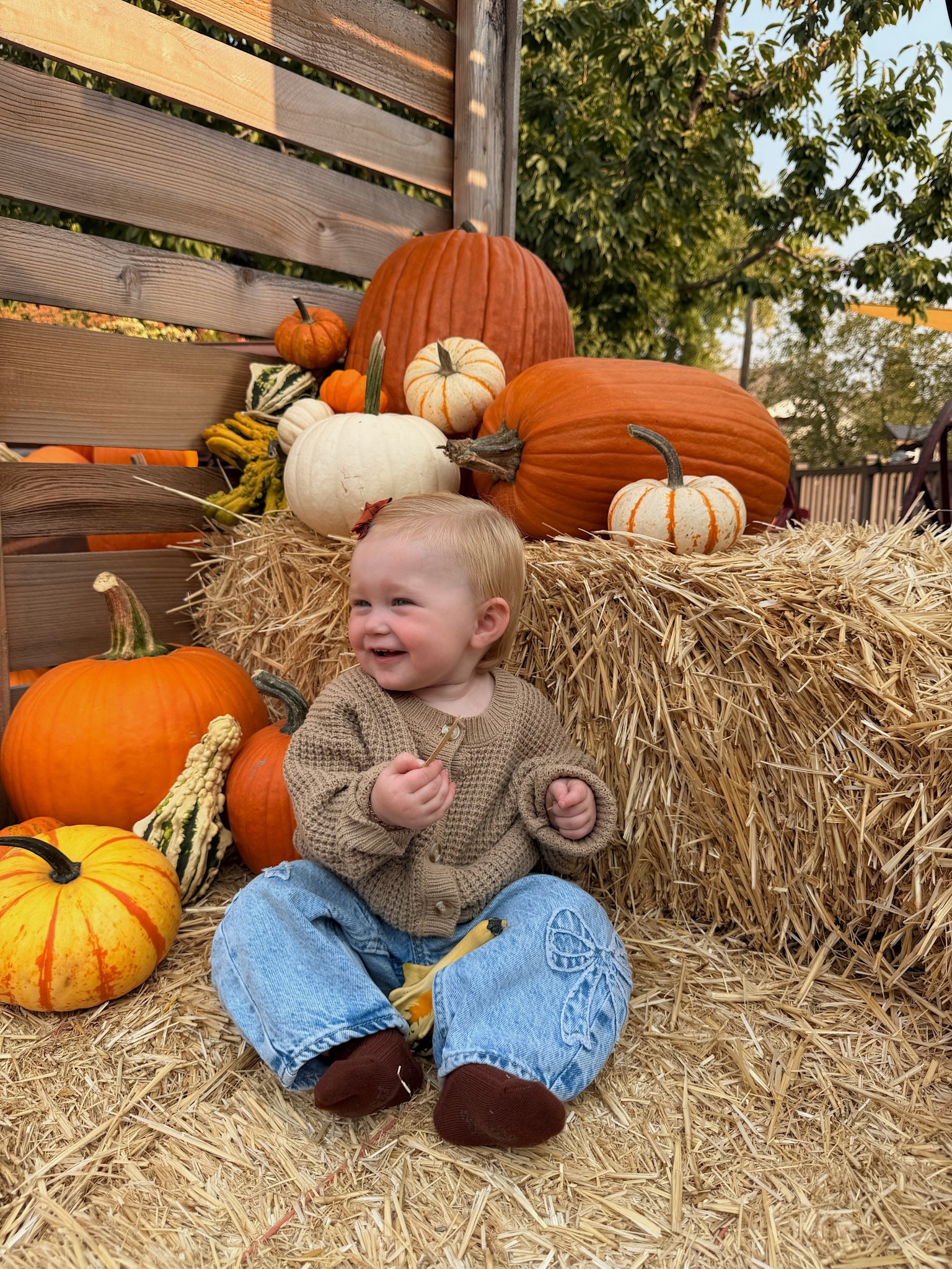 Baby girl fall outfit🍂👖🧶

#LTKBaby #LTKSeasonal #LTKFallSale