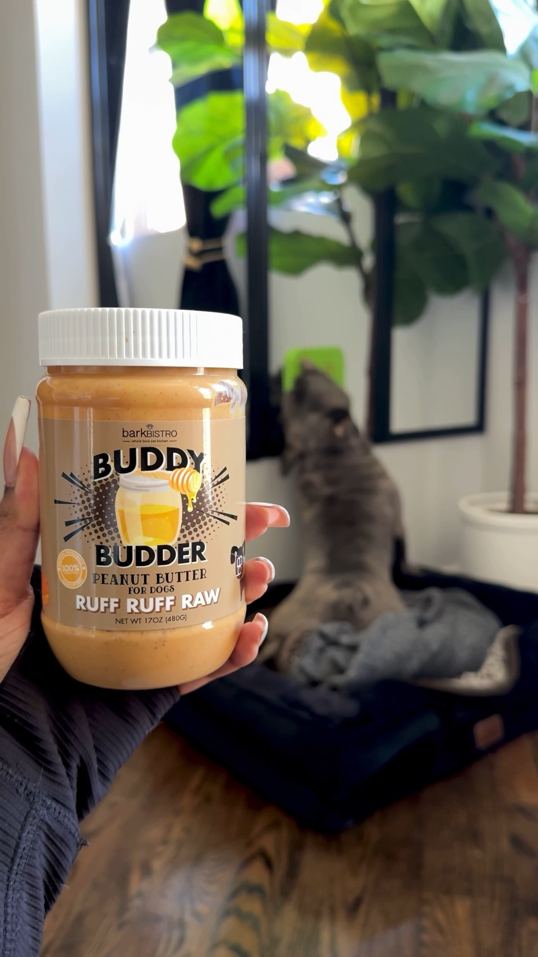 He’ll be at this for hours 😭 This Buddy Budder and lick pad combo from Amazon is top tier. It keeps King Louis calm, entertained, and happy—and it’s made with all-natural ingredients. Highly recommend for your pup’s chill time!

dog lick pad, Buddy Budder, peanut butter for dogs, Amazon dog finds, dog enrichment, Frenchie must haves, dog entertainment, lick mat, calming dog toys, natural dog treats, dog mom finds, pet essentials, Amazon pet finds, LTK dog, LTK pet products, dog content, dog accessories, dog boredom buster, enrichment toys for dogs

#LTKHome #LTKPets