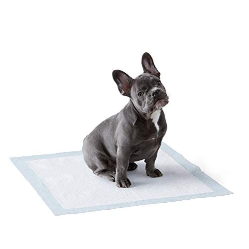 Amazon Basics Dog and Puppy Pads, Leak-proof 5-Layer Pee Pads with Quick-dry Surface for Potty Train | Amazon (US)