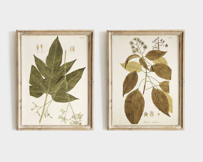 Fall Botanicals | Fall art | Vintage art prints | PRINTABLE art | Etsy (US)