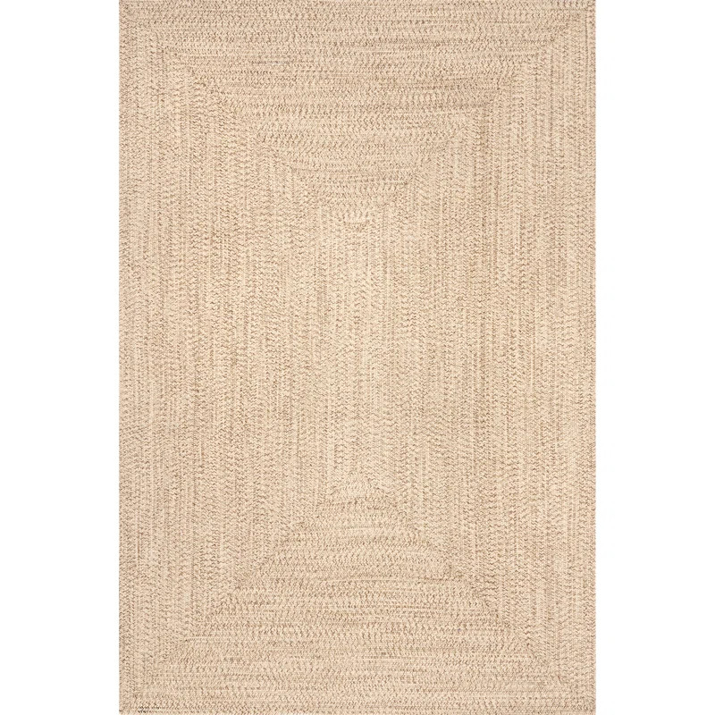 Owensby Braided Tan Indoor/Outdoor Rug | Wayfair North America