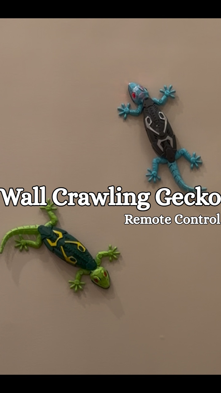 Kids Gifting Ideas!


The Wall Crawling Gecko!

#LTKGiftGuide #LTKHoliday #LTKKids