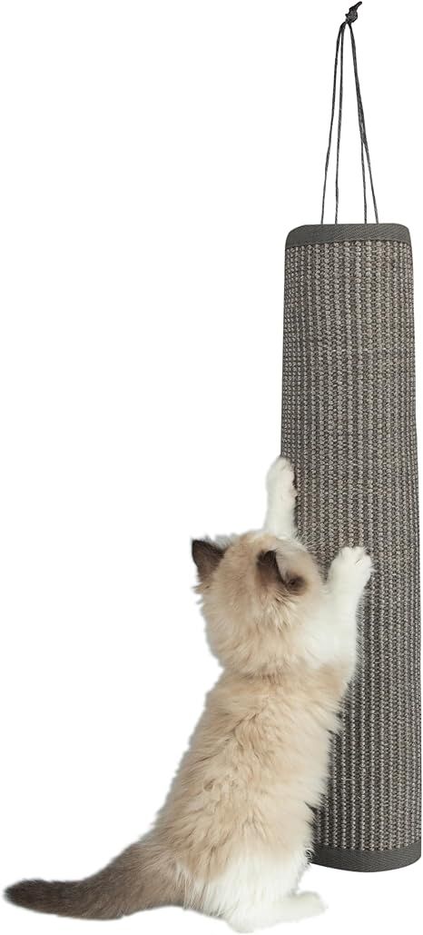 Best Pet Supplies Catify Hanging Log and Mat Scratchers for Indoor Cats, Fun and Interactive Indo... | Amazon (US)