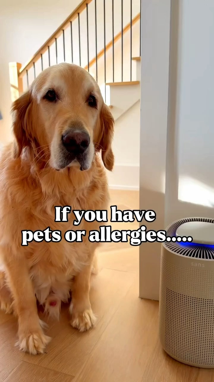 If you have pets or allergies, an air purifier is one of those purchases you wonder why you waited so long to make. Helps capture pet hair, dander, dust and other airborne allergens while keeping the air in your home feeling fresher. Especially worth it during allergy season. Linked in LTK!