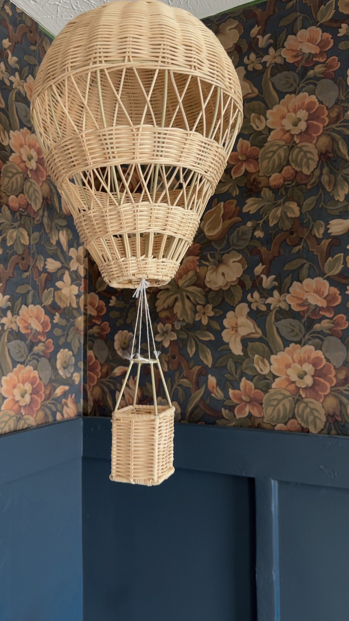 Hot air balloon decor | nursery decor 

#LTKFamily #LTKBaby #LTKHome