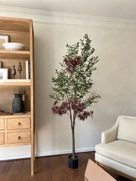 Faux red maple tree for fall decor!

Making over this olive tree with maple leaf stems to create the most realistic faux red maple!

Follow along with the process on instagram!

#LTKSeasonal #LTKhome #LTKsalealert