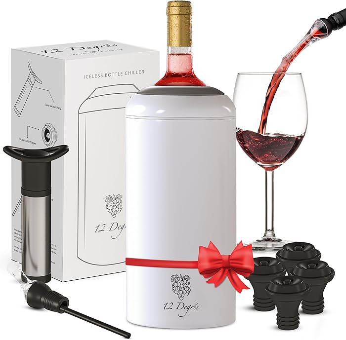 Wine Chiller Set - Perfect Wine Gifts for Women & Men - Stainless Steel Insulated Wine Cooler wit... | Amazon (US)