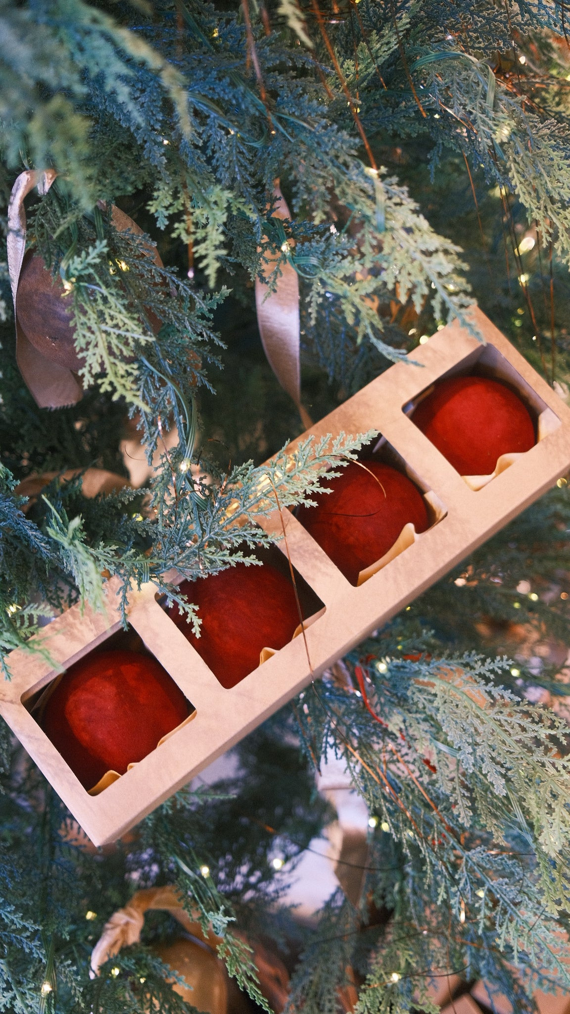 Box of 4 - Burgundy Velvet Ornament | Gatehouse No.1