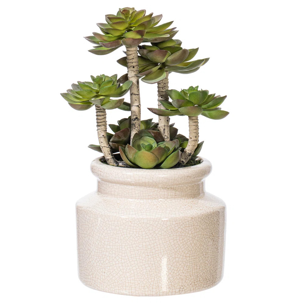 11'' Faux Succulent in Ceramic Pot | Wayfair North America