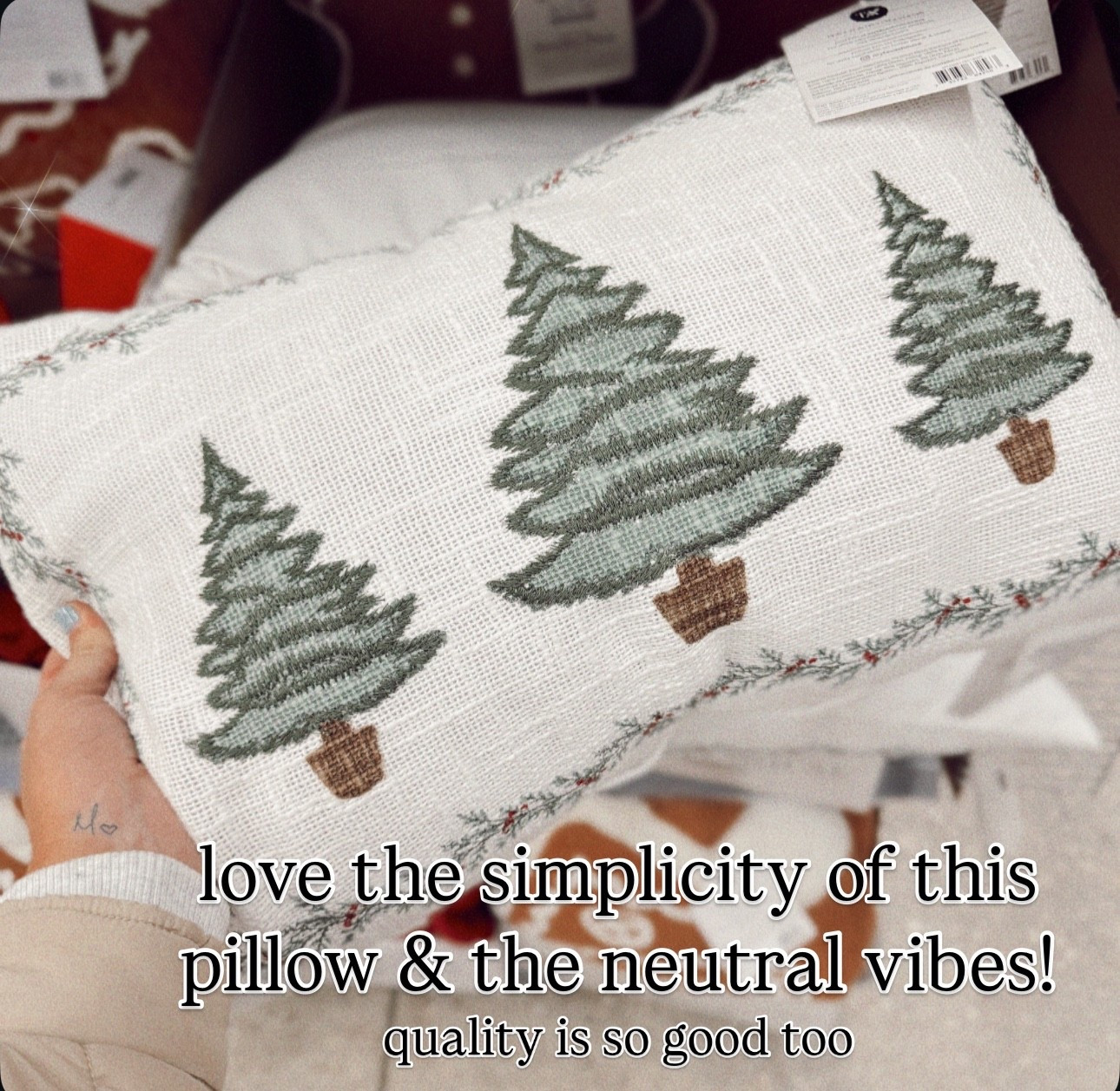 Christmas pillow
Christmas decor
