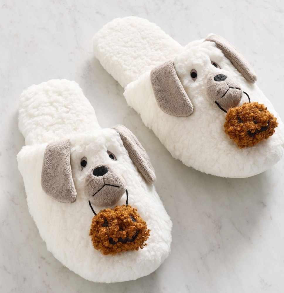 AND they are on SALE!!! Run for this deal …. PLUS free shipping!!! 

#LTKHalloween #LTKSeasonal #LTKSaleAlert