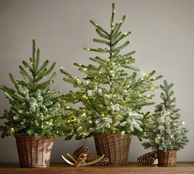 Faux Lit Blue Spruce Tree | Pottery Barn (US)