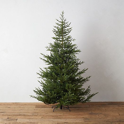 Faux Norway Spruce | Terrain