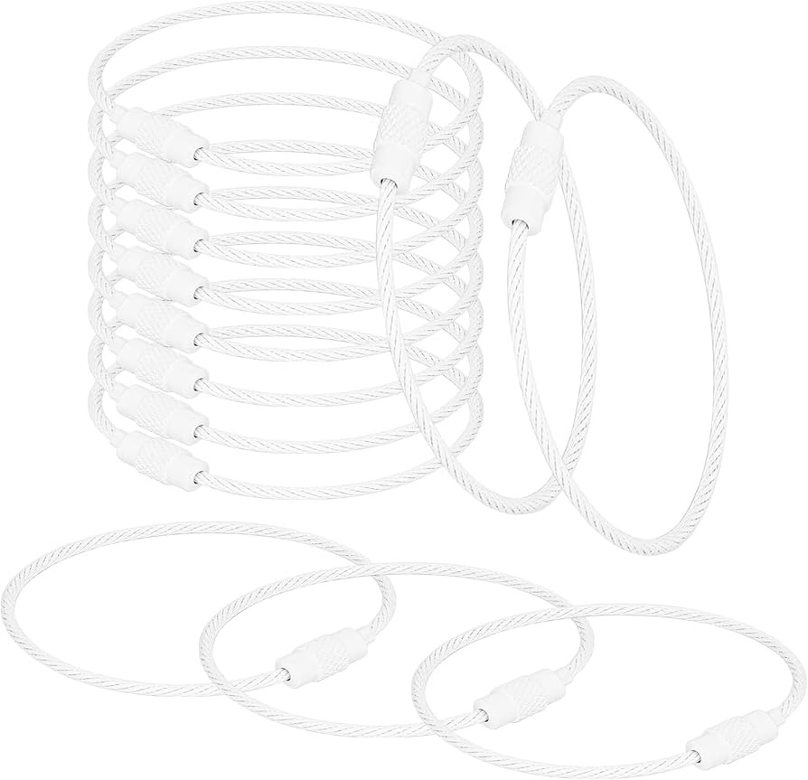 20 Pack Stainless Steel Key Rings Large Key Ring 6 Inch Wire Keychain Cable Keyring Hoop with Scr... | Amazon (US)
