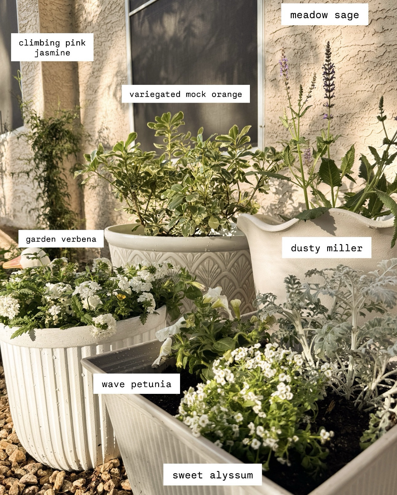 easy all white flower container garden. lowes springfest is happening this month! my fav time of year to pick up summer annuals, start new projects and try new plants 🩵 

#LTKdayinmylife #LTKSeasonal #LTKHome