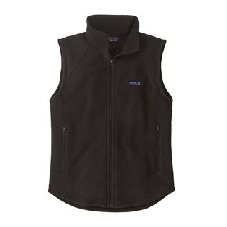 Patagonia   Classic Microdini Fleece Vest - Women's | REI