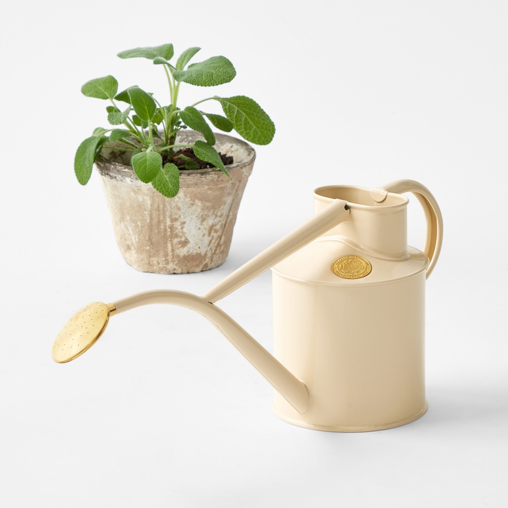 Haws Watering Can, Cream | Williams-Sonoma