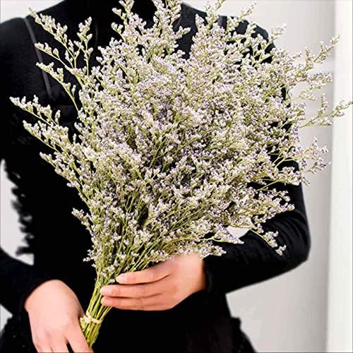 Dried Flowers Bouquet, Dry Caspia Flower Bundle, Floral Lavender, Babys Breath Artificial Flowers... | Amazon (US)