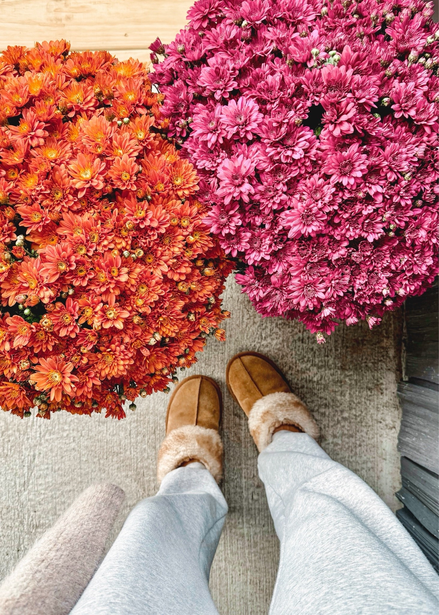My slippers are 5+ years old but @Target brings a version back each year. Linked this year’s version and some similar pairs. I wear size 6.

#LTKPetite #LTKSeasonal #LTKootd