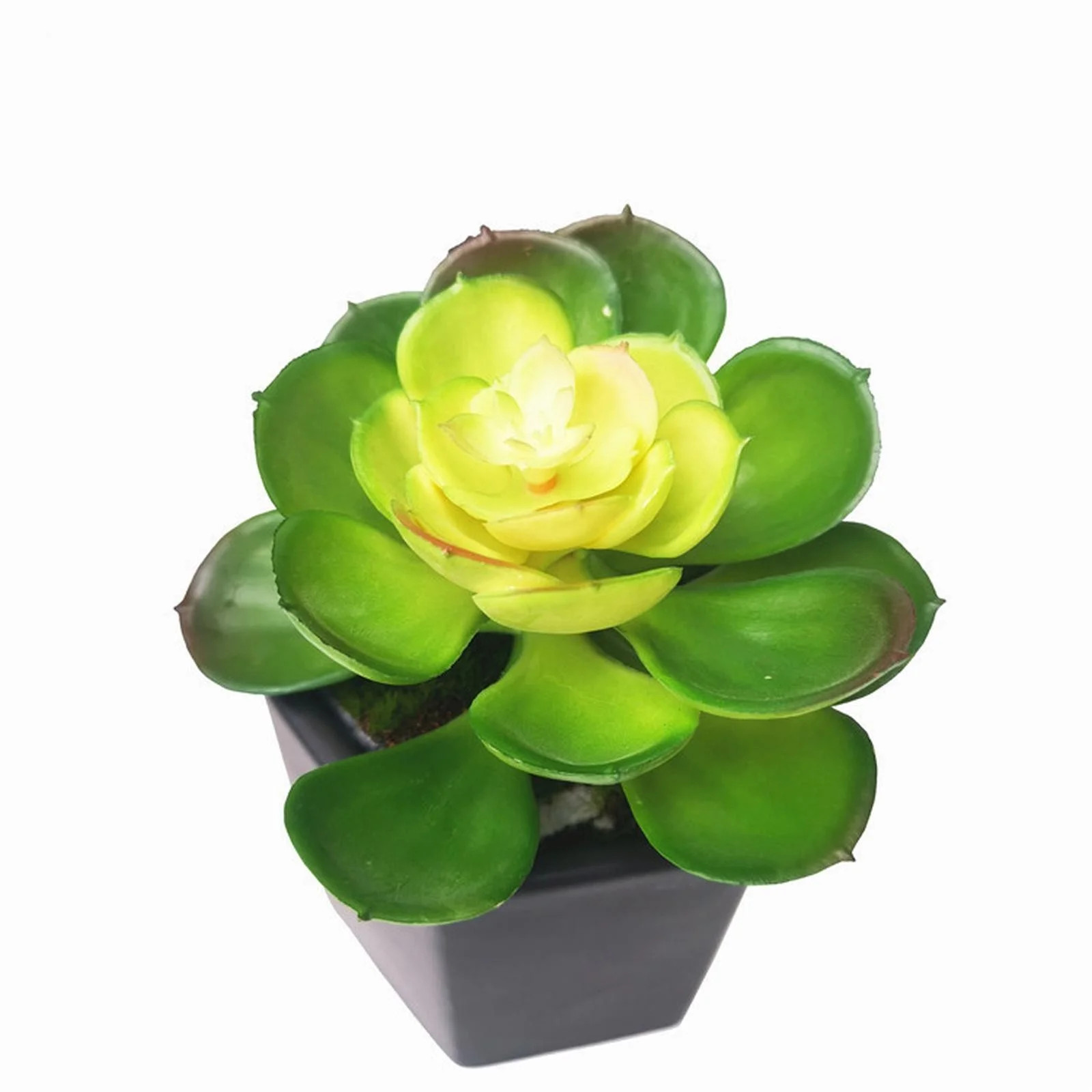Prime Artificial Succulent Artificial Flower Artificial Greenery Plant Faux Cactus Realistic Succ... | Walmart (US)