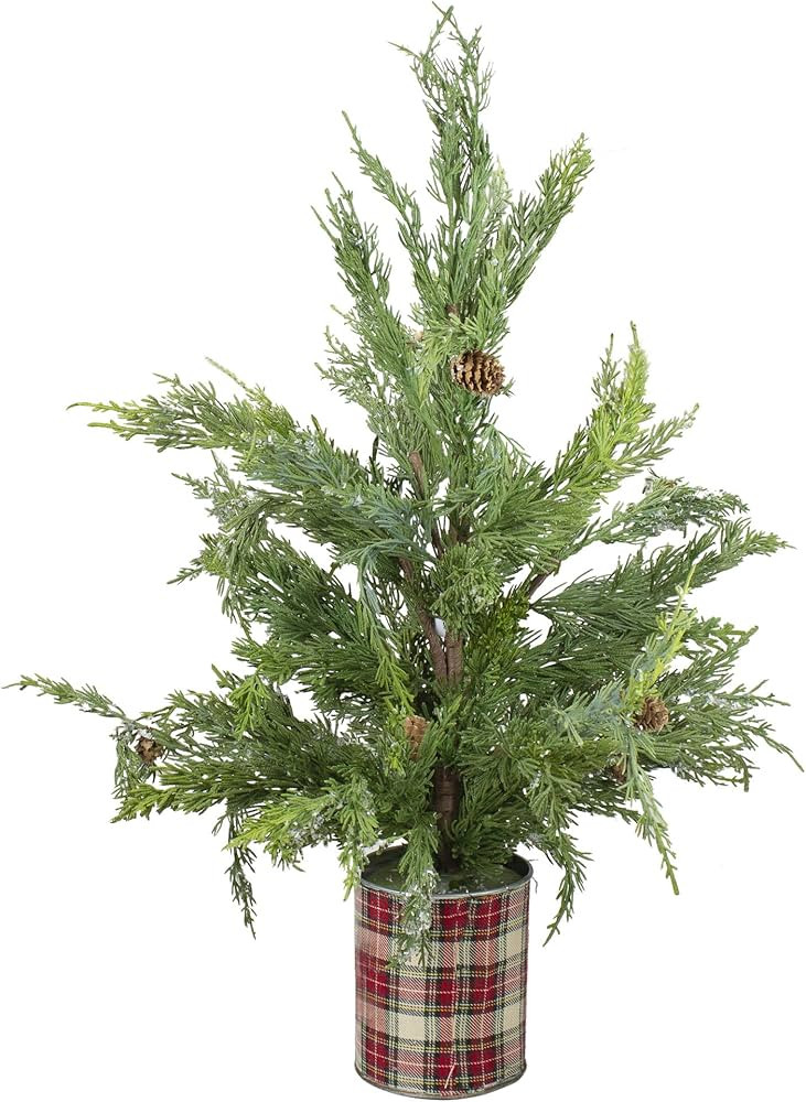 24" Iced Cedar Artificial Christmas Tree in Plaid Pot - Unlit | Amazon (US)