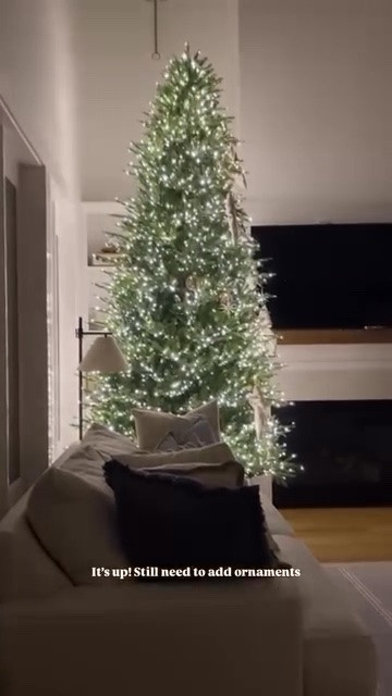 🎄VIRAL CHRISTMAS TREE
IS BACK IN STOCK!!! 

#christmastree
#twinklingchristmastree #viralchristmastree #christmasdecor