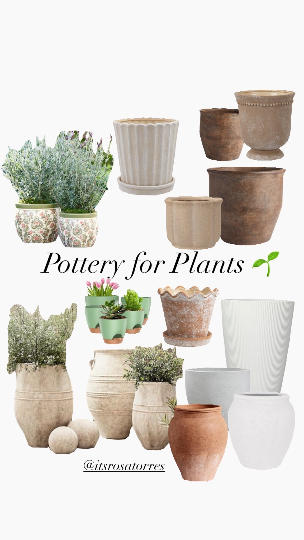 Pottery heaven I have 92764759592 pots for plants 🪴 and every time I fine a new one with different texture - style - size yup! I need one more 🤭 actually I got like 5 to 7 SSSHHHHHHHH 

#plantpots #pottery #gardenpots #garden #plantaseed #flowerpots 

#LTKSaleAlert #LTKHome #LTKSeasonal