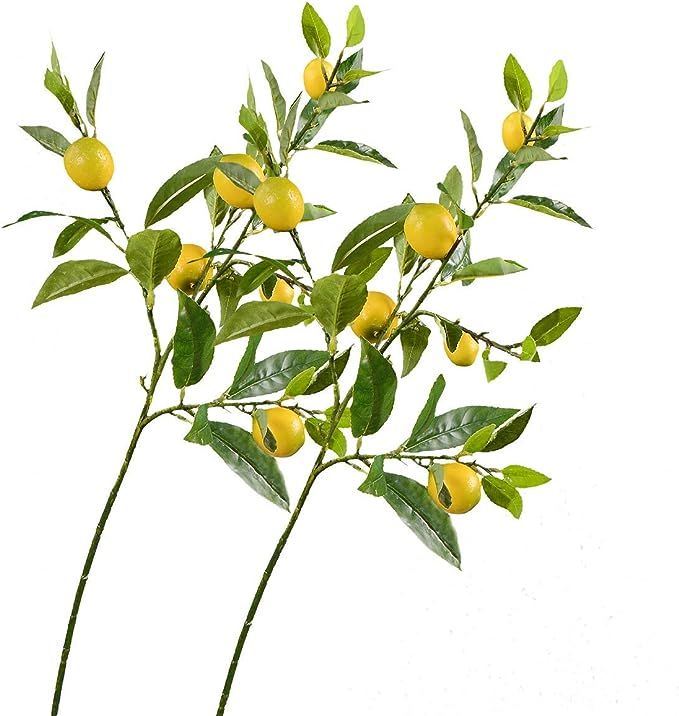 Rinlong Artificial Lemon Branches for Kitchen Party Decor Yellow Fake Lemon Decorations Farmhouse... | Amazon (US)
