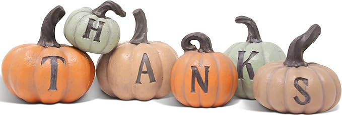 THANKS pumpkin decoration | Thanksgiving 6 pcs Hand-painted pumpkins fall house decor for Thanksg... | Amazon (US)