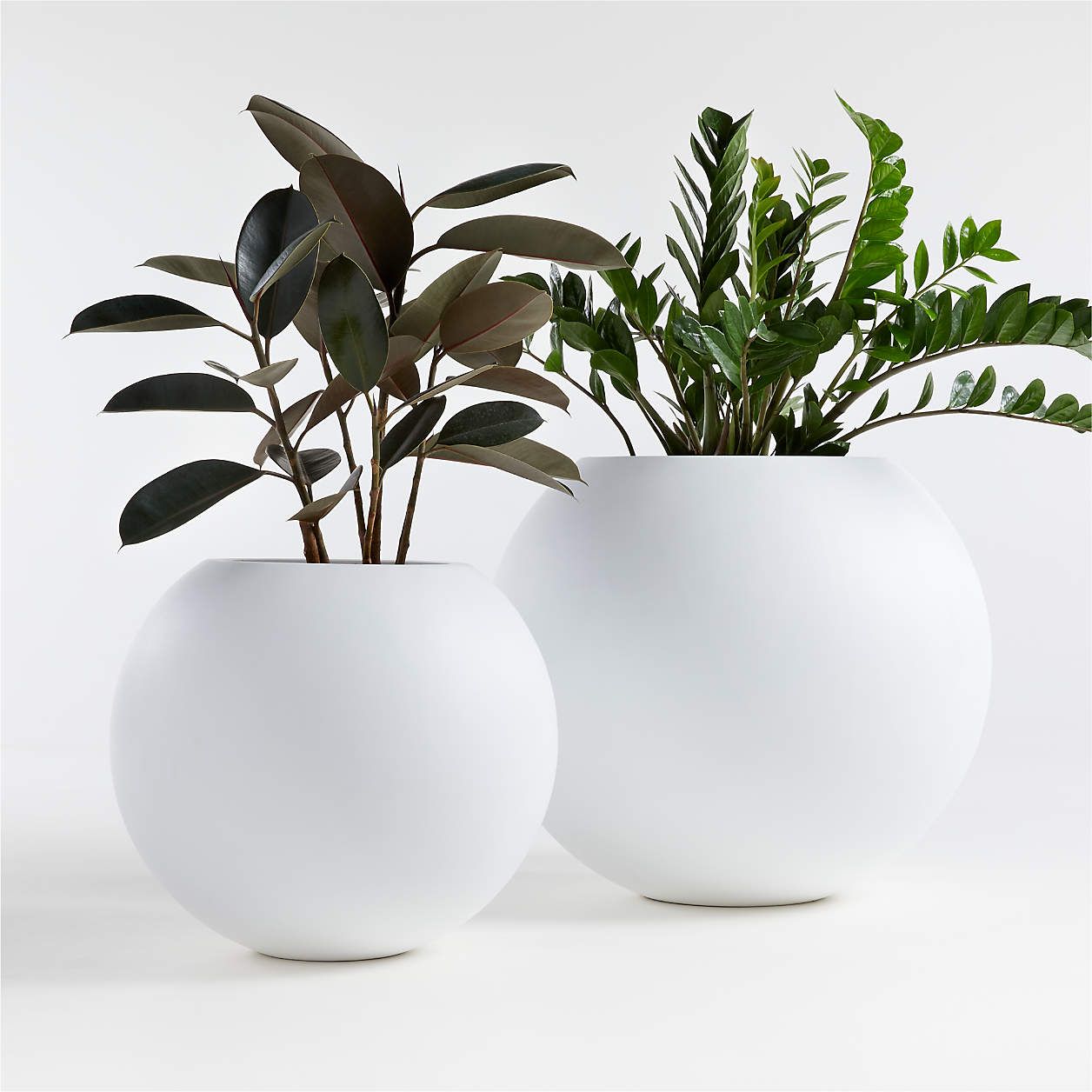 Sphere Small White Indoor/Outdoor Planter Pot + Reviews | Crate & Barrel | Crate & Barrel