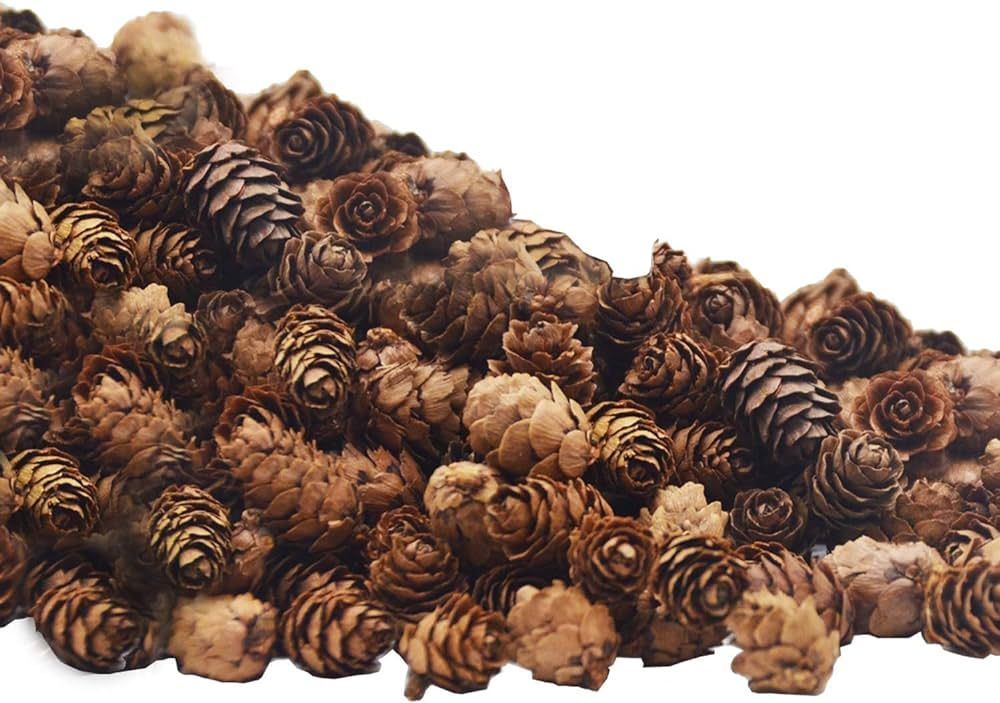 150 Pcs Christmas Natural Mini Pine Cones- 2CM Thanksgiving Small Pinecones Ornaments Vase Filler... | Amazon (US)