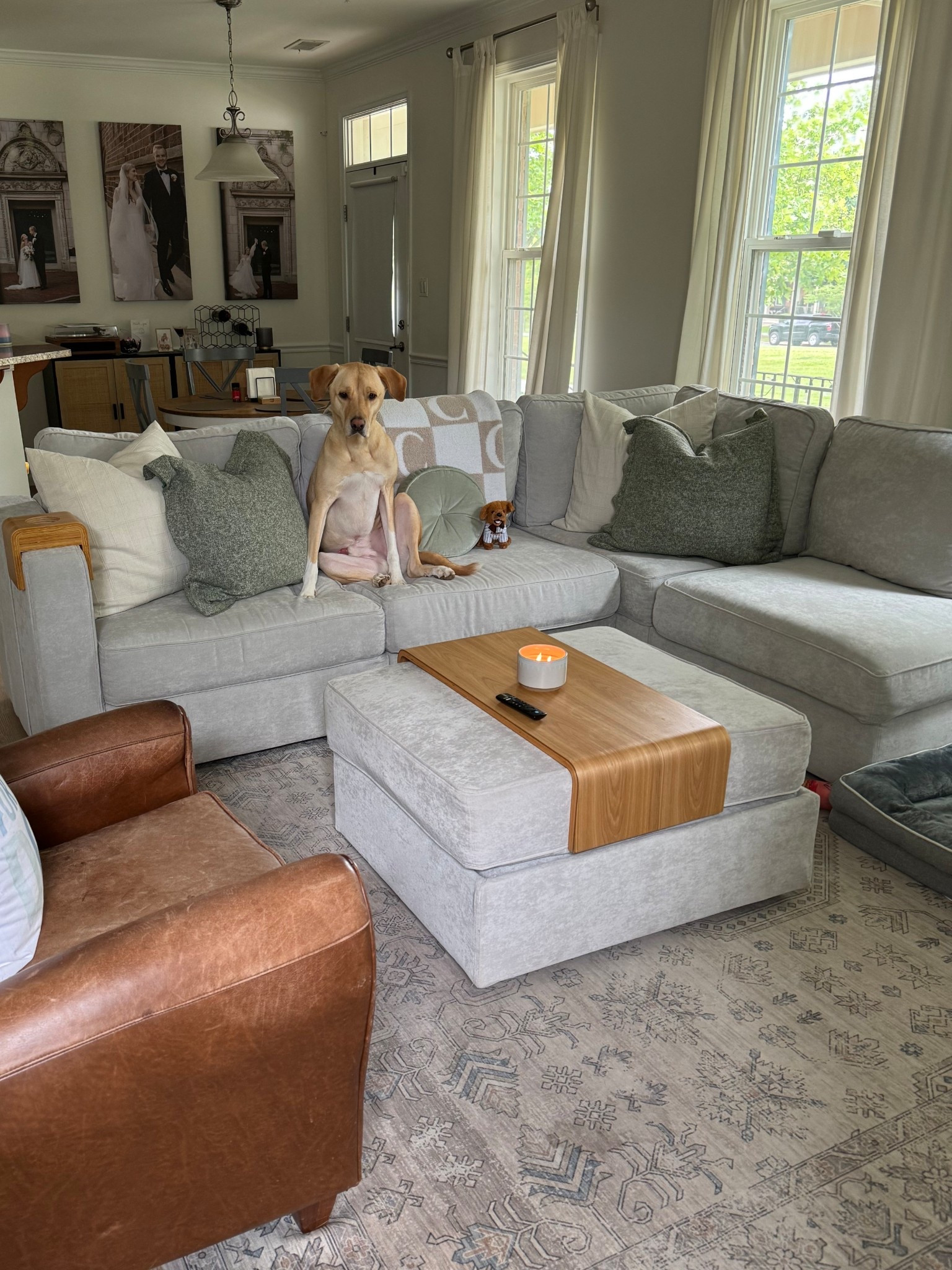 Lovesac couch 

#LTKFamily #LTKHome #LTKPets