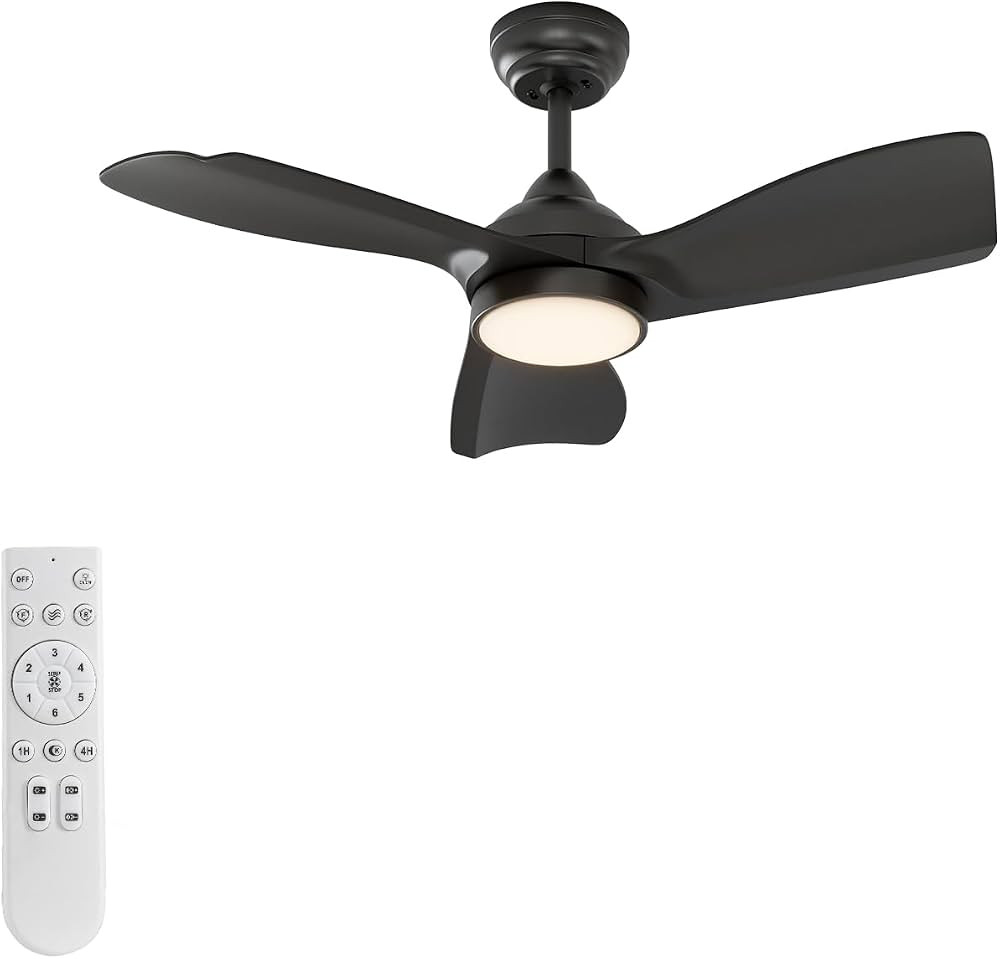 warmiplanet 30 Inch Indoor Ceiling Fans with Lights and Remote Control, DC Slient Motor, Dimmable... | Amazon (US)