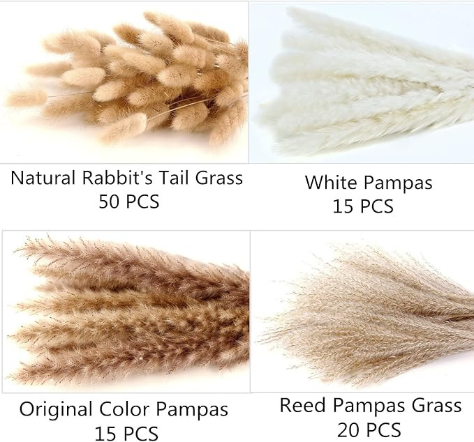 Dried Pampas Grass Decor, 100 Stems Pampas Grass Contains Bunny Tails Dried Flowers, Reed Grass B... | Amazon (US)