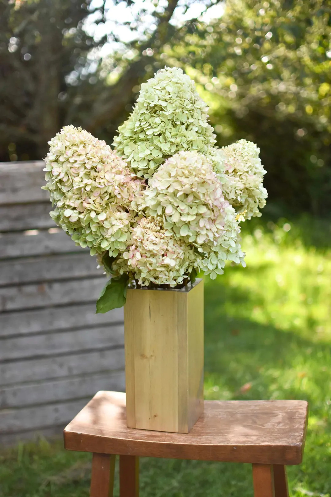 Dried Limelight Hydrangea Blooms | Large Natural Green to Cream Vintage Flowers | Wedding Centerp... | Etsy (US)