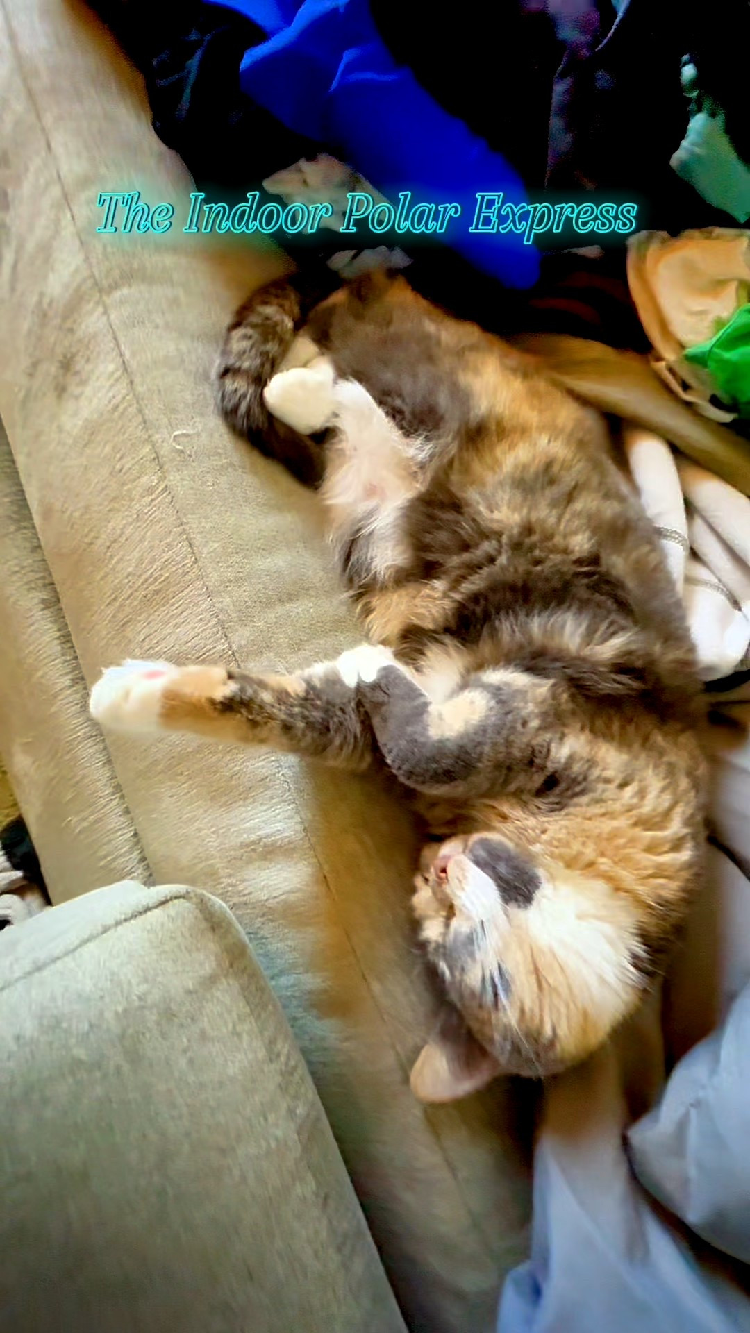 The Indoor Polar Express--Make your own North Pole indoors for Christmas with a tree that basically sets itself up on its own. Click each section in the base and watch the branches fall into place, creating an effortless holiday glow! 

#LTKHoliday #LTKHome #LTKSeasonal